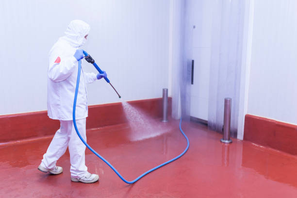Best Building Exterior Washing  in Sardis City, AL